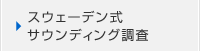 スウェーデン式サウンディング調査